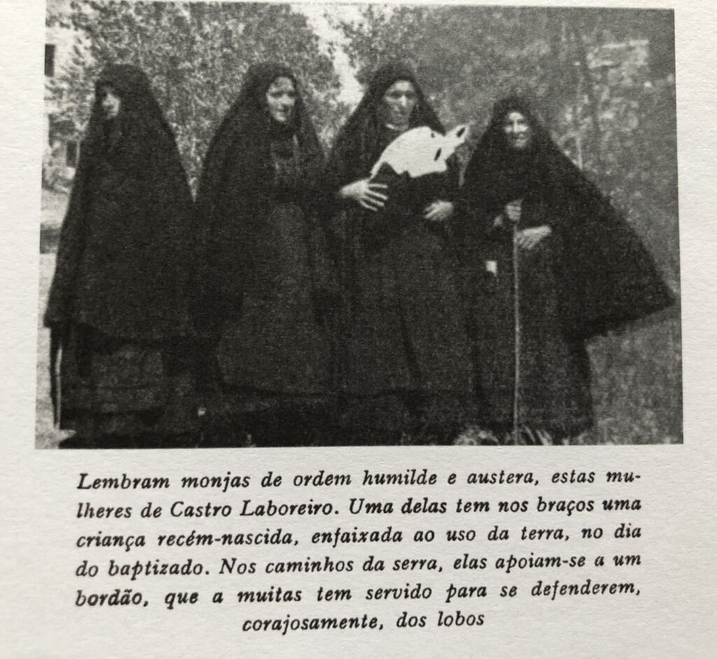 Excertos: As Mulheres do Meu País (Maria Lamas, 1948)